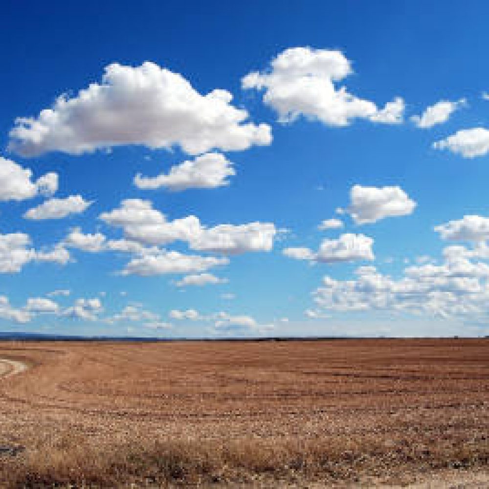 Unterstützen Sie mit uns die ökologische Landwirtschaft